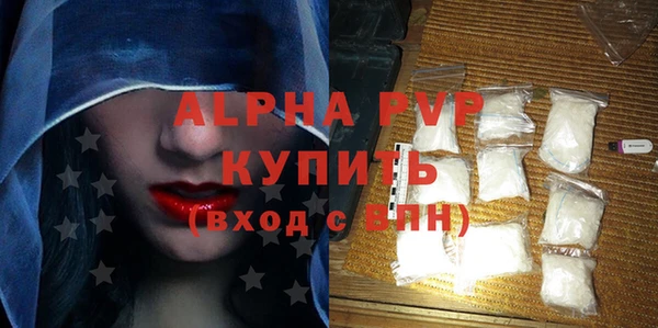 молекула духа Михайлов