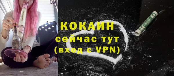 молекула духа Михайлов