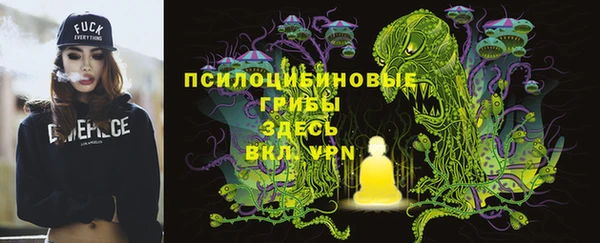 мдма Михайловск