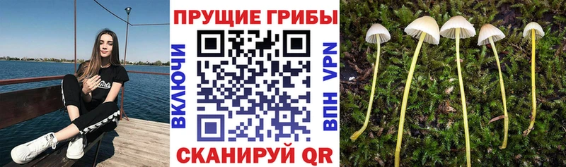 Галлюциногенные грибы MAGIC MUSHROOMS  Алейск 