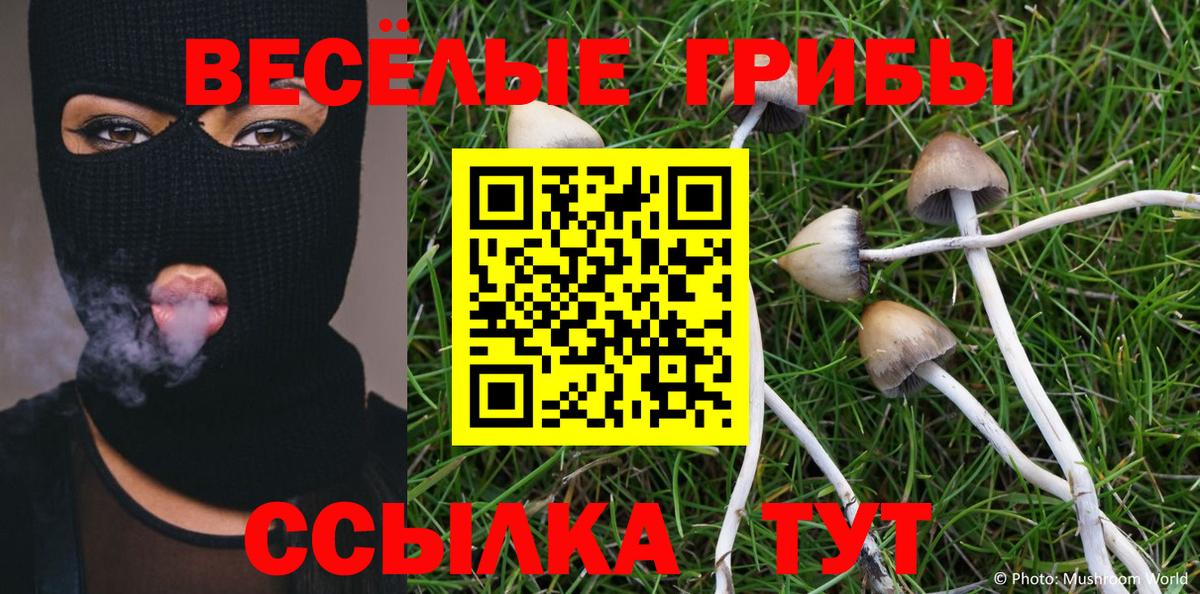 Галлюциногенные грибы мицелий Алейск