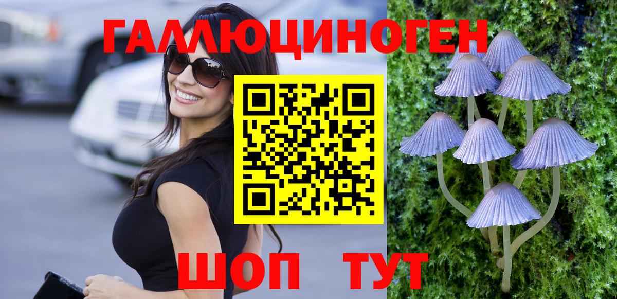 Псилоцибиновые грибы прущие грибы  Алейск 