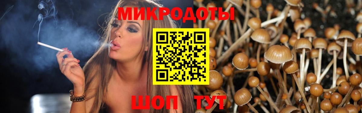 Галлюциногенные грибы Magic Shrooms Алейск