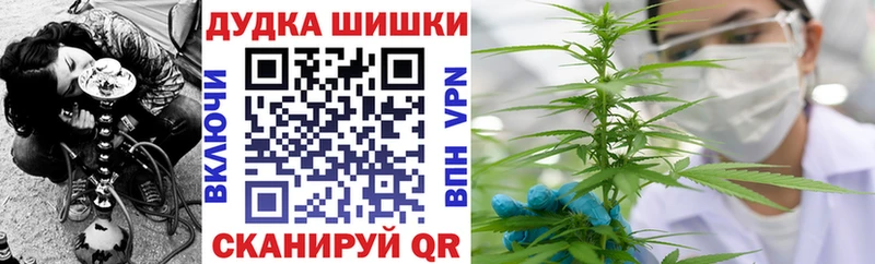 MEGA как войти  Алейск  Бошки марихуана VHQ 