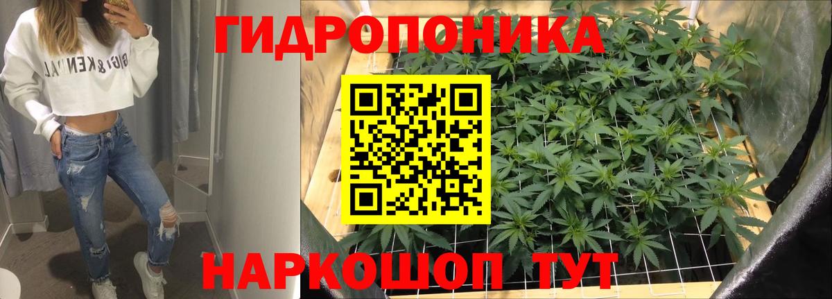 Алейск  Каннабис план  Вход с VPN  Канабис тримм  Конопля тримм 
