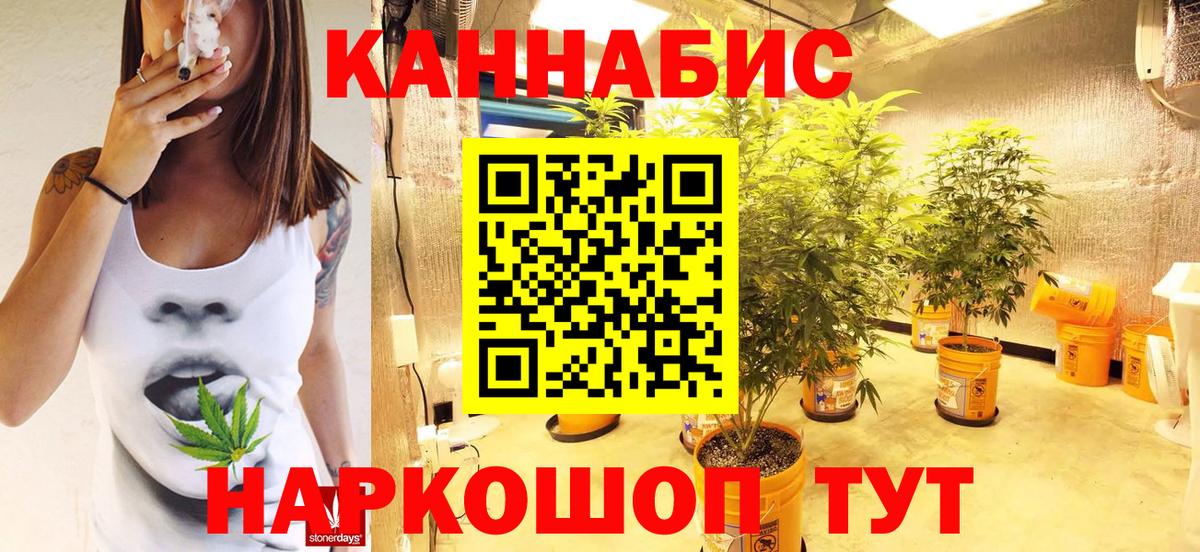 Каннабис Amnesia  Конопля планчик  Бошки марихуана конопля  Алейск  Вход с VPN 
